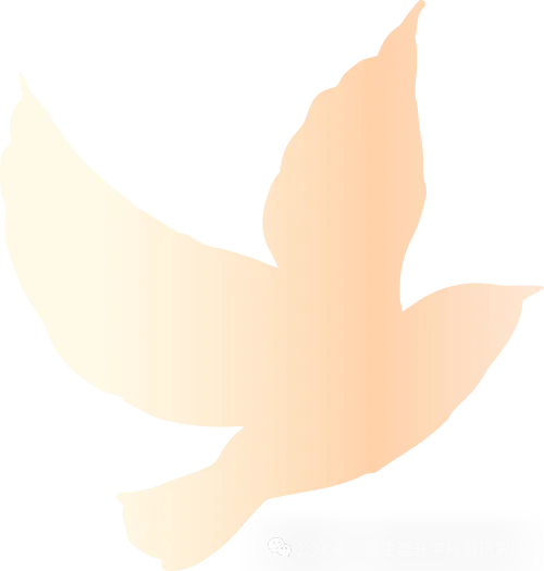 【文博 汇总】2026 中考道法必背:全国两会考点汇总+答题技巧,收藏起来! 第6张