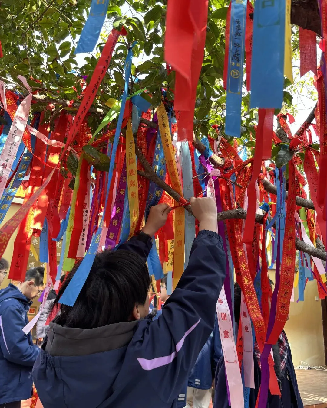 文脉承圣训,百日誓登科!夫子庙大成殿中考百日誓师活动回顾 第18张