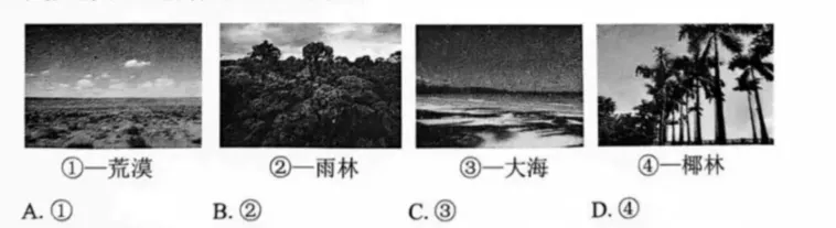 试题精选 | 2025年中考真题精选(6) 第6张