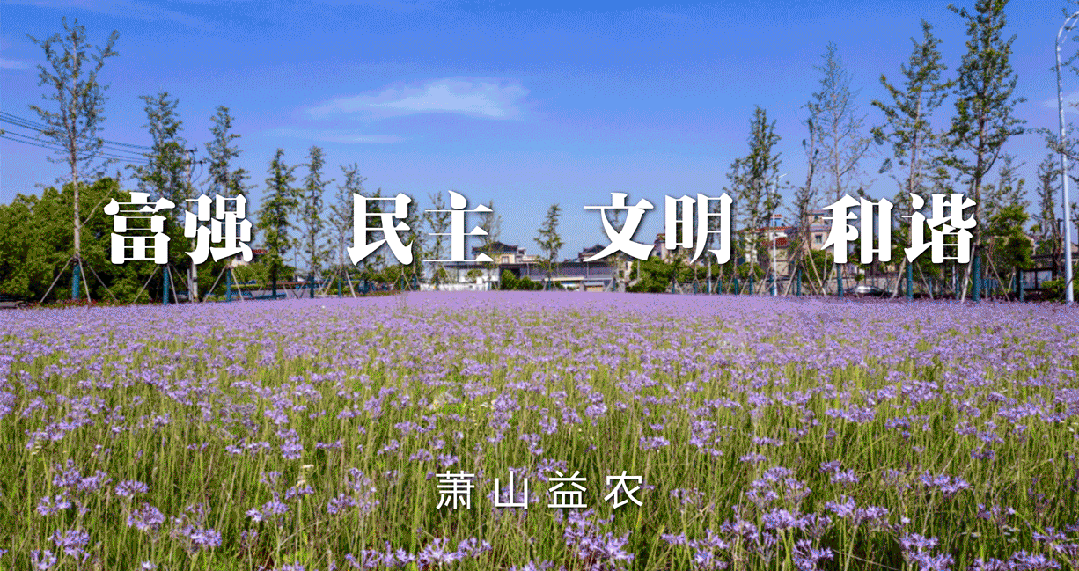 萧山体育中考安排发布,选考项目有变化! 第1张