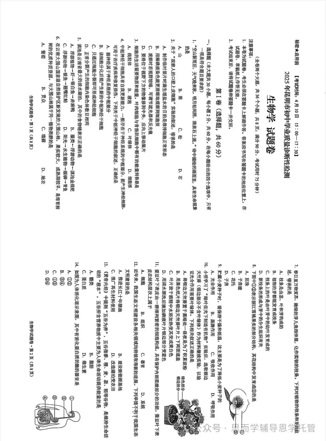昆明2025学业水平昆明市统测一模中考真题(语数英物化政地历生)及答案.复制后可打印 第67张