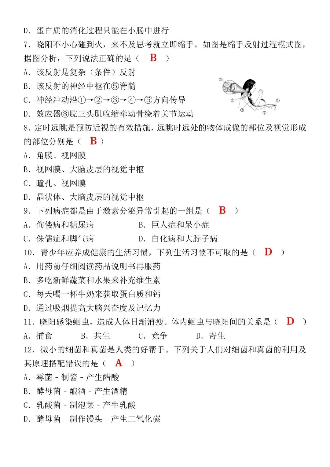 2026初中生物会考第一次模拟真题试卷(可打印),建议收藏打印练习! 第5张