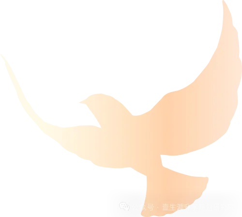 【中考道法】必背:全国两会考点汇总+答题技巧,收藏起来! 第6张