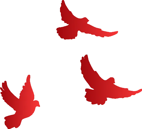 决战中考,文康必胜!—文康学校2026届中考百日誓师大会圆满举行 第25张