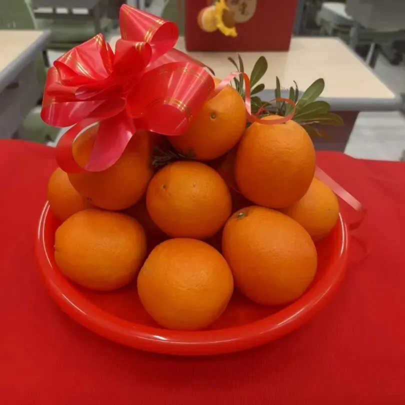 乐知班 | 中考百日誓师 第20张