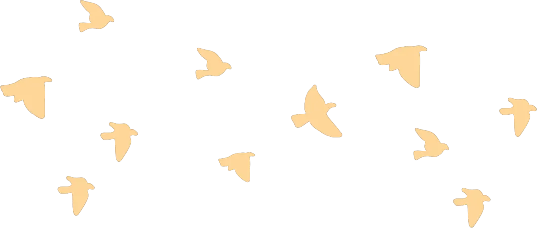 百日奋进,青春无悔——南苑学校中考冲刺誓师大会圆满举行 第26张