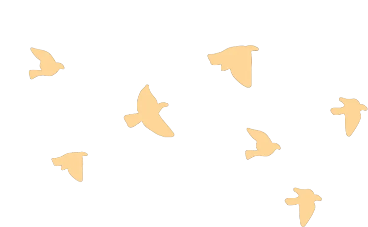 百日奋进,青春无悔——南苑学校中考冲刺誓师大会圆满举行 第35张