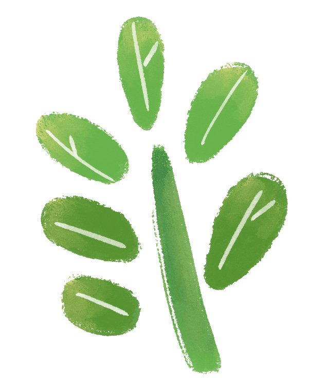 真题深剖析 教学再提质——云大附属会展学校小学部“真题研读”专题研讨活动 第69张