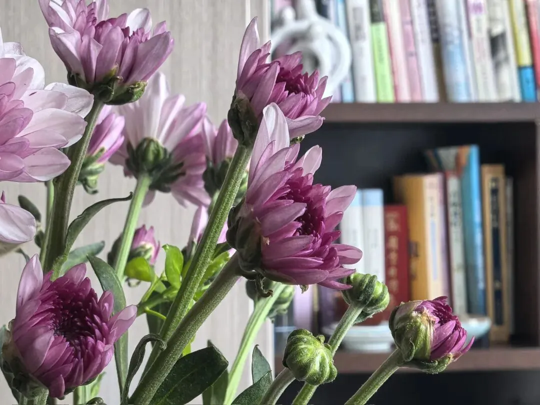 【481】一个月薪3000的普通人:中考倒计时100天 第2张