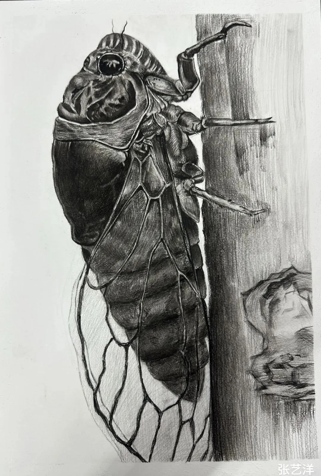 2026年唐山市艺术中考模拟考试开始报名啦 第18张