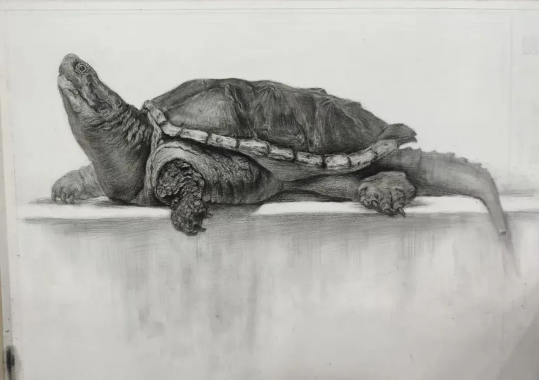 2026年唐山市艺术中考模拟考试开始报名啦 第22张