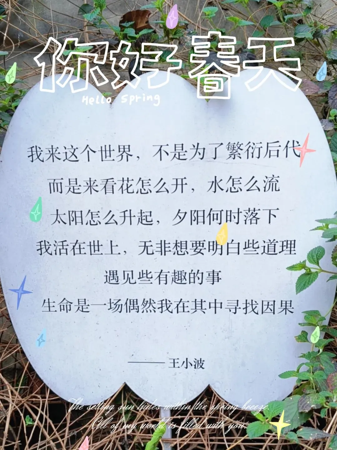 一张补考试卷,让我想到的…… 第1张