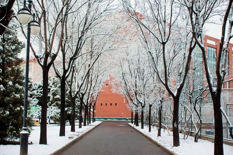 26复试系列 | 复试模考班——考前模拟,复试必备! 第1张