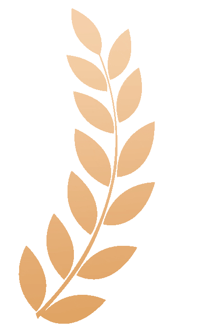 2026武汉高三三调(原二调)最新试卷及答案汇总! 第18张