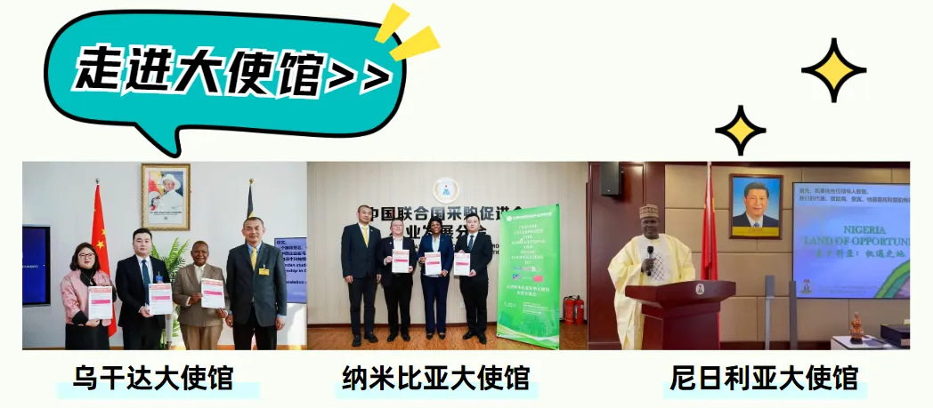 参考资料 & 往届真题已上线!用实力对话国际,斩获联合国人才库入场券 第11张