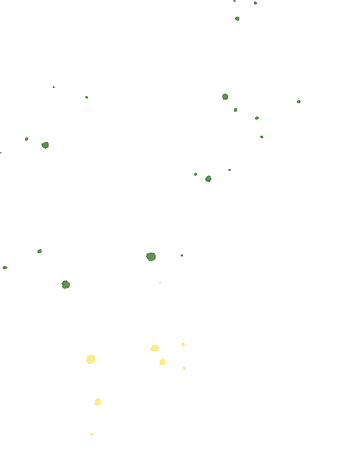 誓言铿锵,为梦而战——文苑中学中考百日誓师大会 第7张