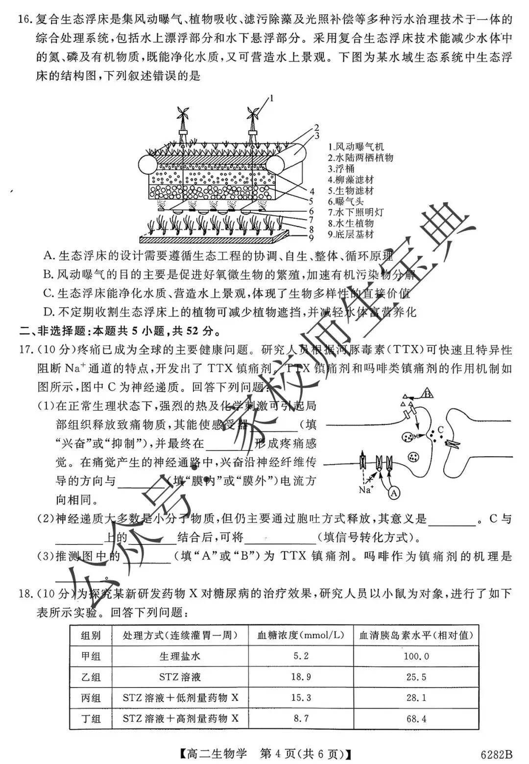 高二生物1月测评试卷! 第5张