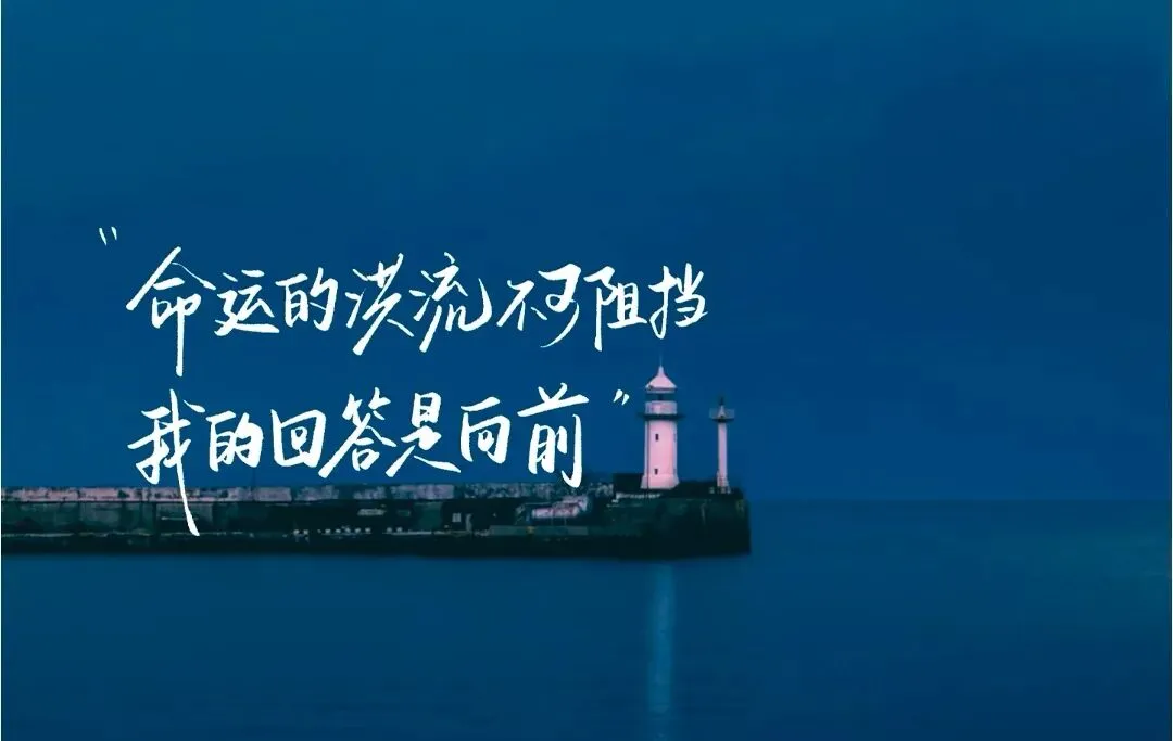 【初中】2026版《万唯系类学习资料+试卷》 第6张