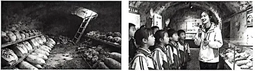 辽宁名校联盟2026届高三下学期3月模拟考试政治试题 第2张