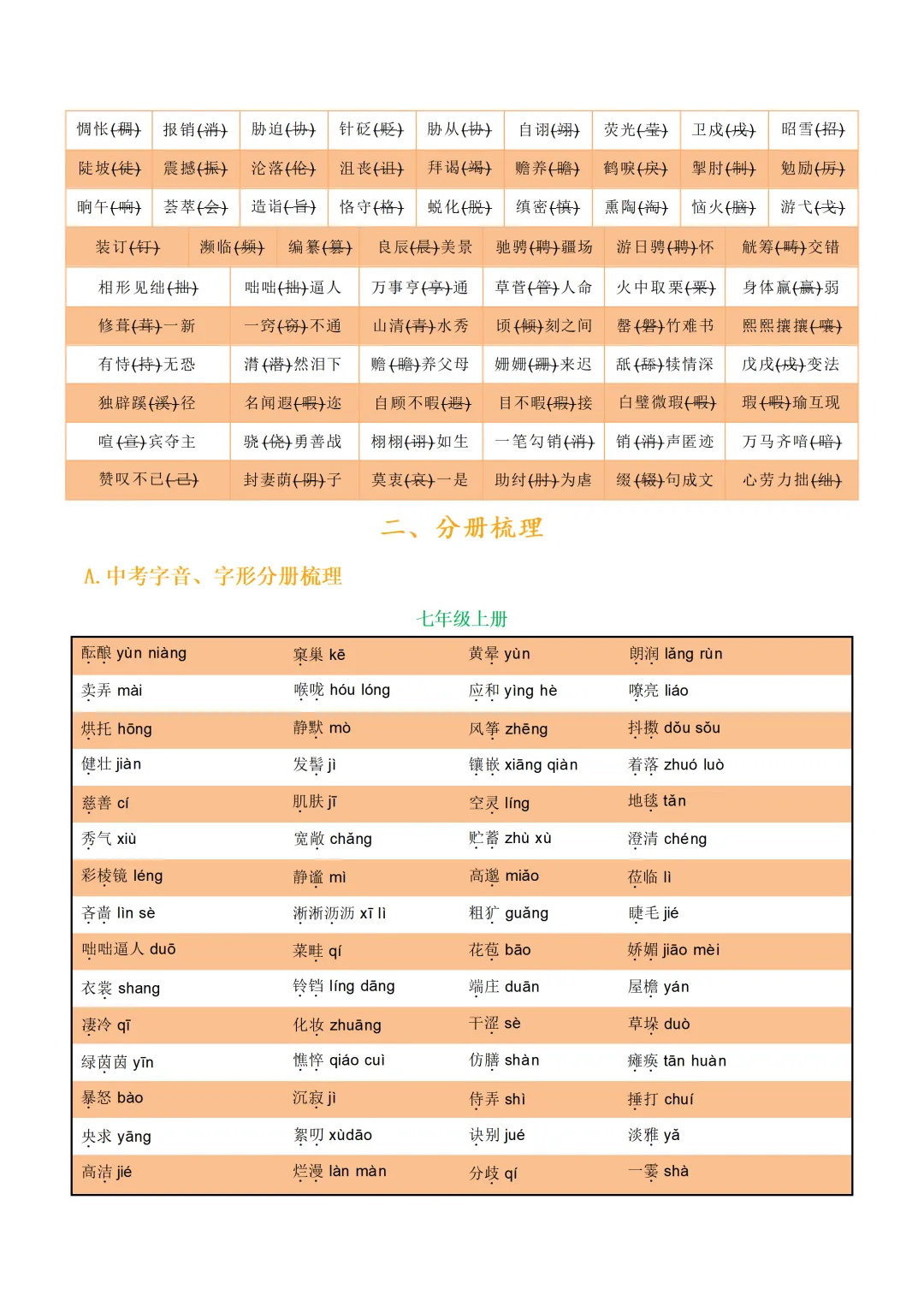 中考各科专项语文复习字音,字型,词义 第9张