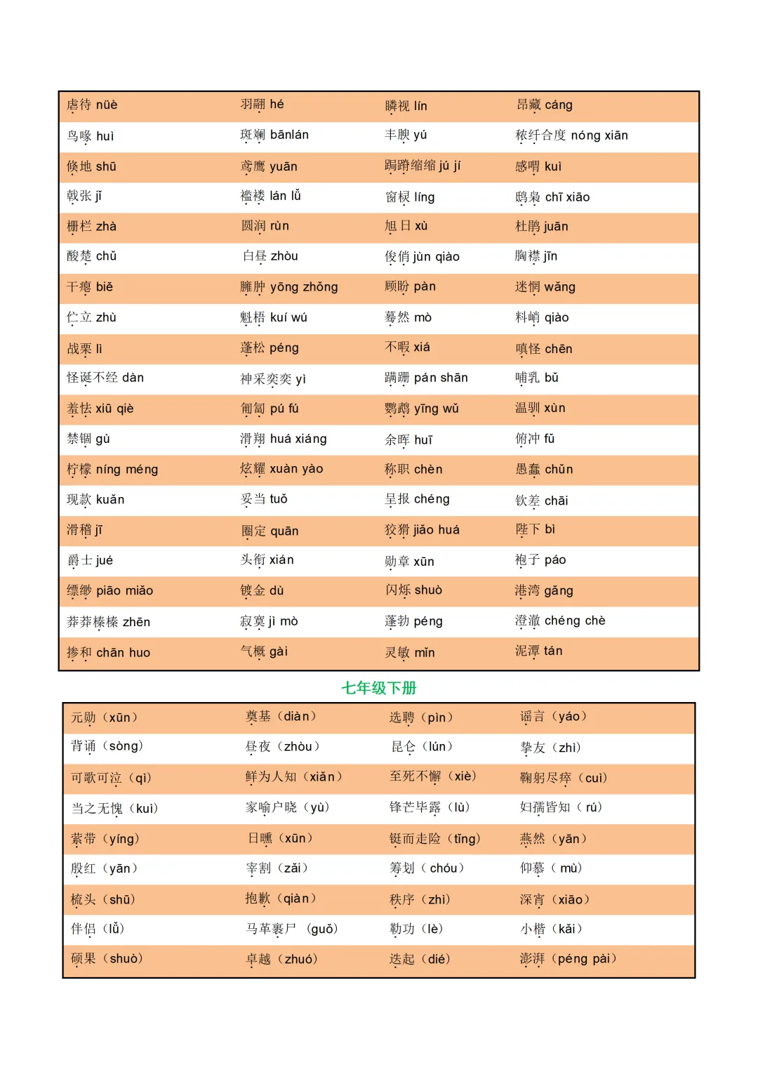 中考各科专项语文复习字音,字型,词义 第11张