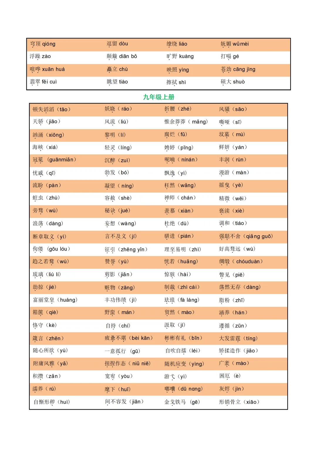 中考各科专项语文复习字音,字型,词义 第17张