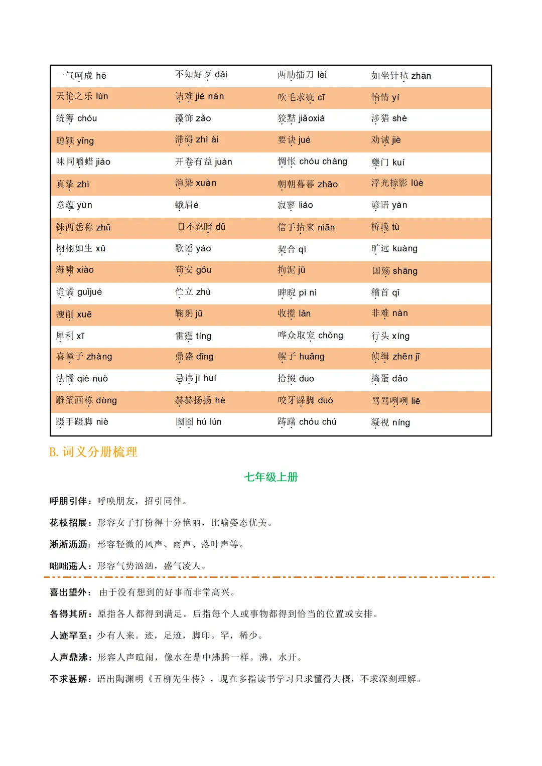 中考各科专项语文复习字音,字型,词义 第20张