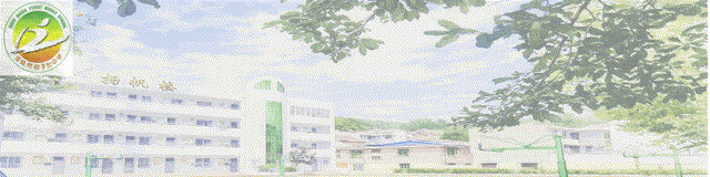 【知行店中•教育教学】复盘聚力 决胜中考 ——店子街中学九年级教育教学工作会圆满召开 第1张