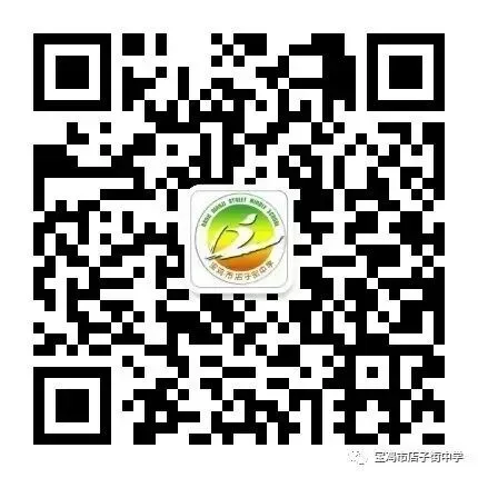 【知行店中•教育教学】复盘聚力 决胜中考 ——店子街中学九年级教育教学工作会圆满召开 第18张