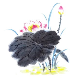 北大美学2024考研真题解析·西方美学 第15张