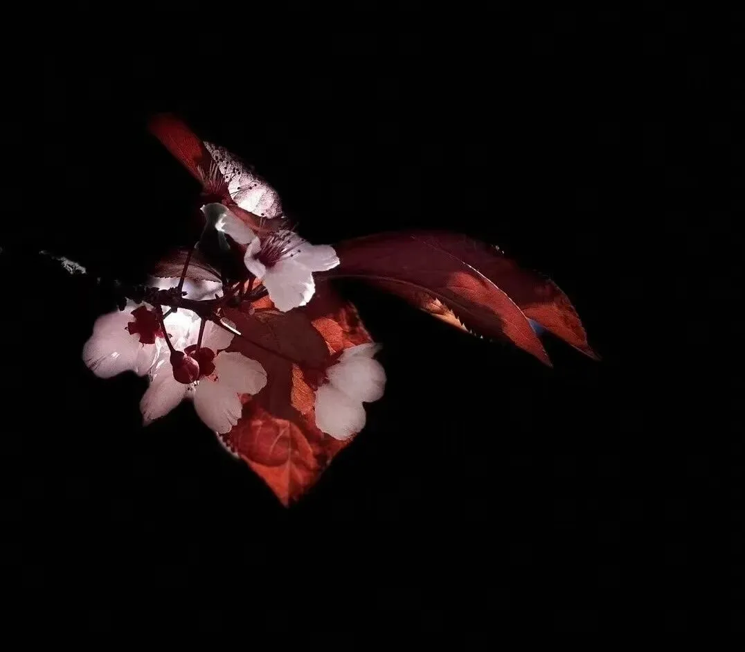 2018-2025高考真题派生合成词汇总(精编) 第2张