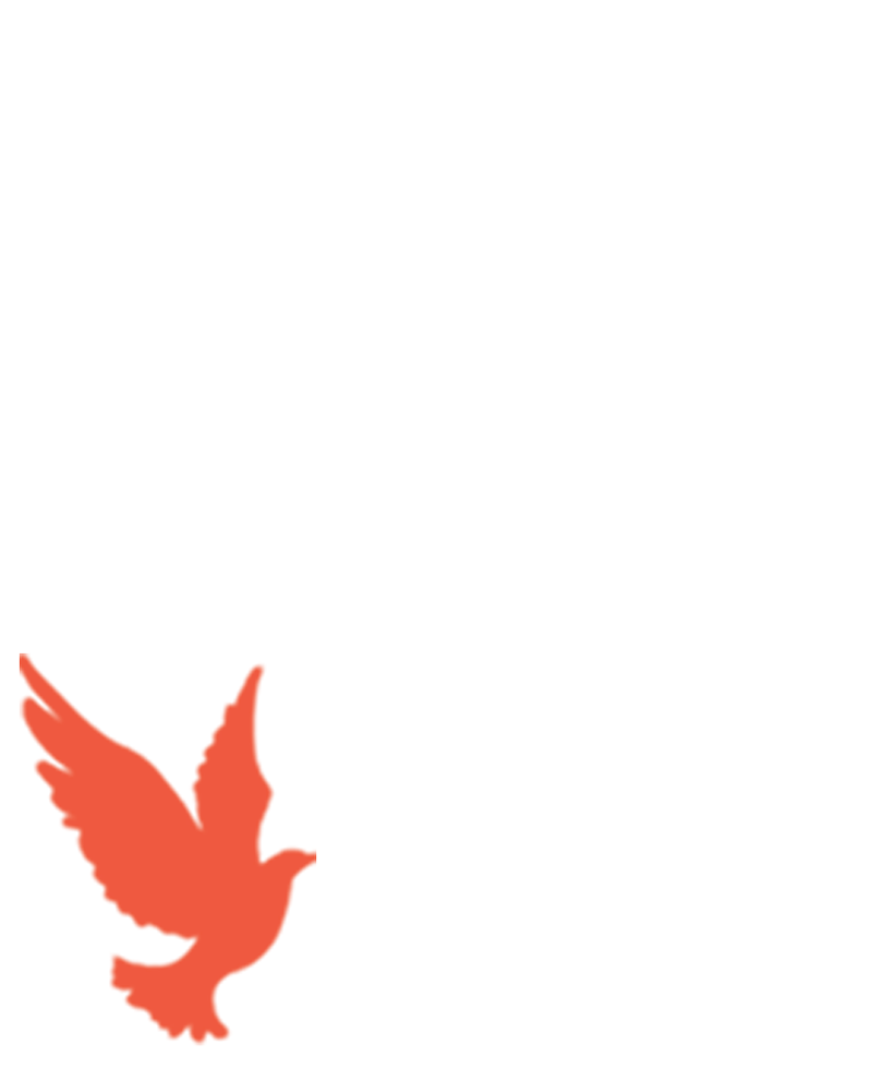 宁附担当 使命必达——2026届中考宣誓仪式暨学法讲座 第3张