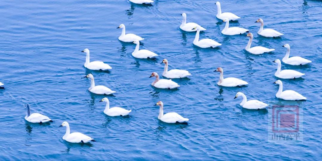 注意!2026年中考3月17日开始报名~ 第6张