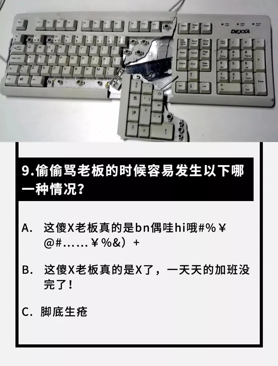 网络梗专业八级模拟考试 第10张