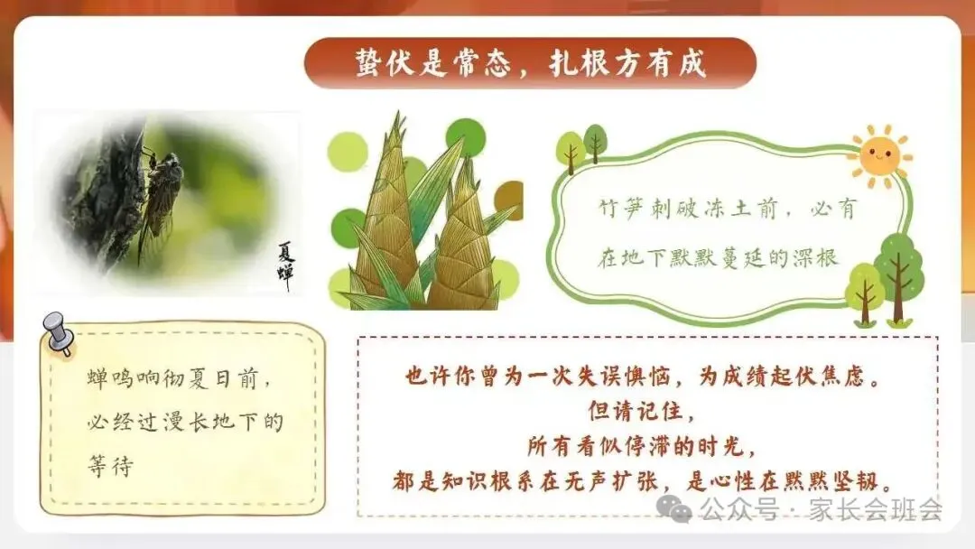 初三中考冲刺百日誓师主题班会ppt课件(含发言稿) 第9张