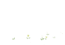 从一张试卷到一片星辰 | 连云港华杰高中生物竞赛圆满落幕 第4张