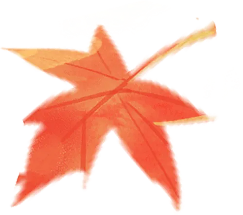 【全网首发】最新试卷解析+答案!3.12江西赣州高三一模联考 第1张