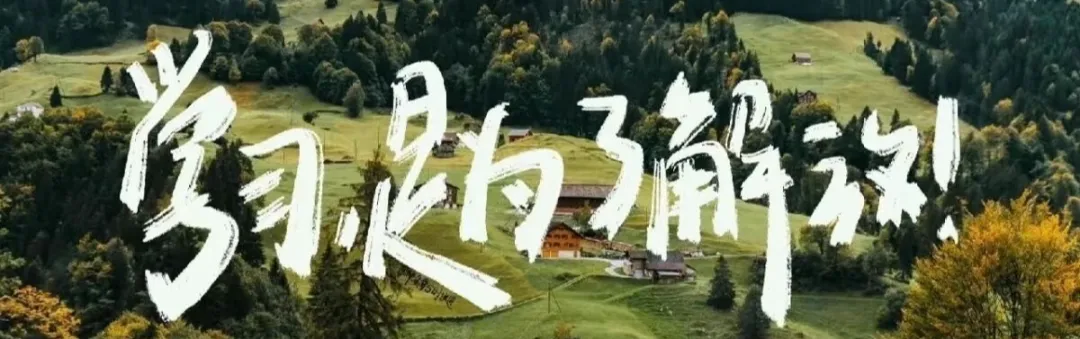 考公日记 | 模考63.5,不内耗,复盘即进步 第1张