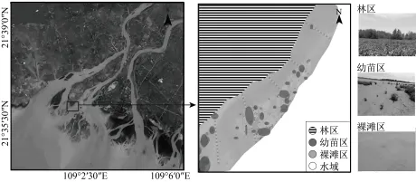 山东省济南市2026届高三第一次模拟考试地理试题 第13张