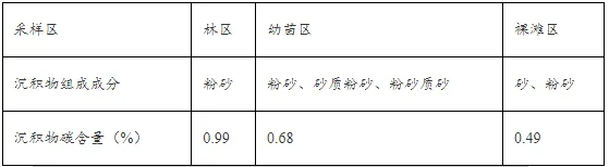 山东省济南市2026届高三第一次模拟考试地理试题 第14张