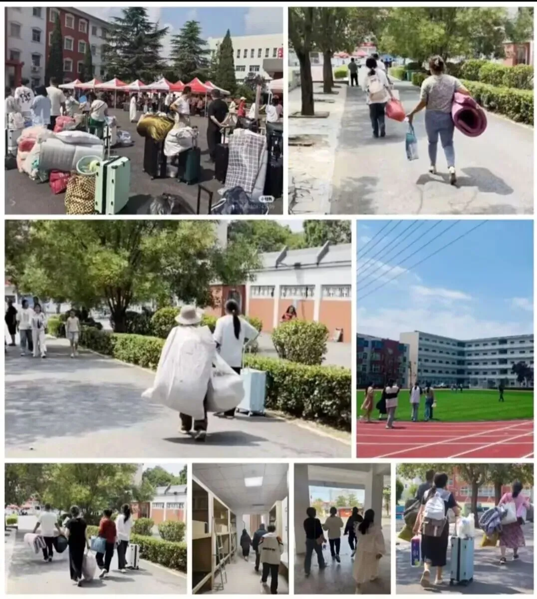 中考分低也不怕!87.7%圆梦率+六大医学专业,给孩子一个“直通大学”的确定性机会 第9张