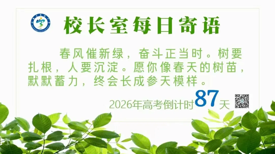 高考真题规范练18 第3张