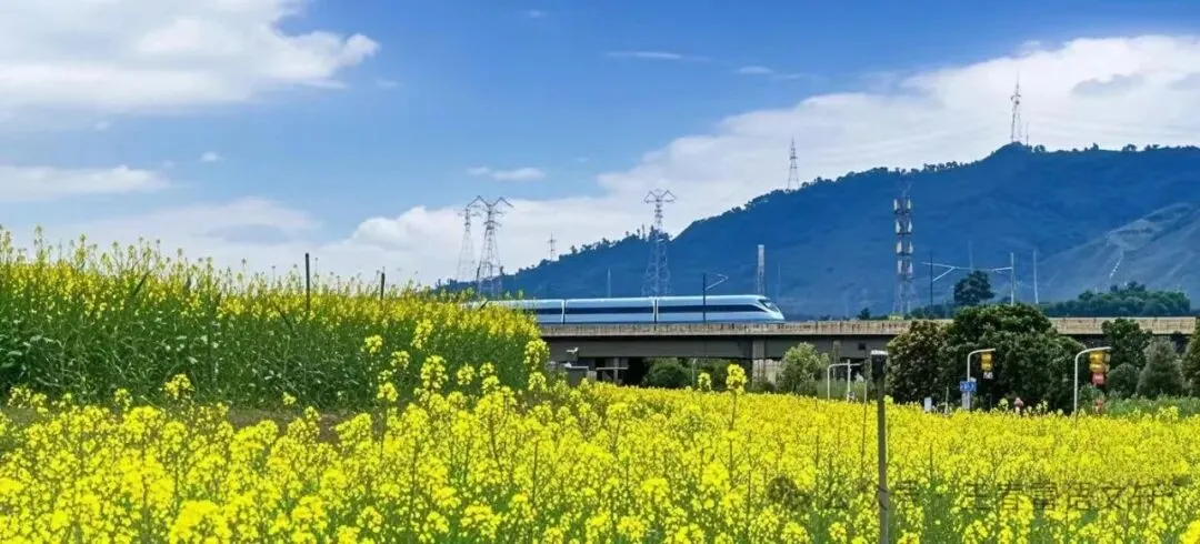 【第1945期C】五篇中考高分优秀作文! 第1张