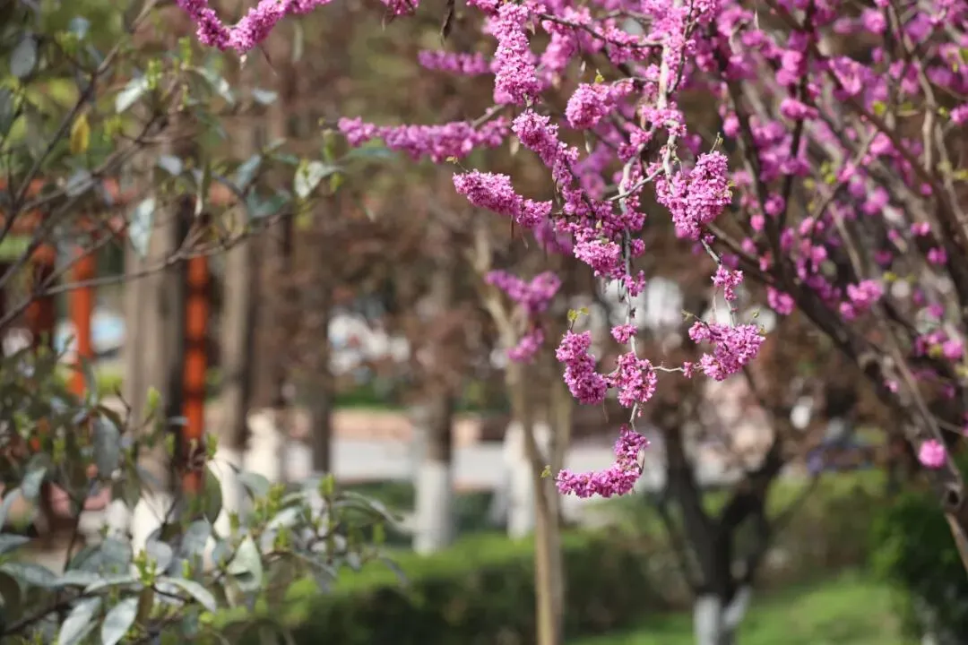 94天后中考丨面对单纯问题,请再单纯一点 第1张