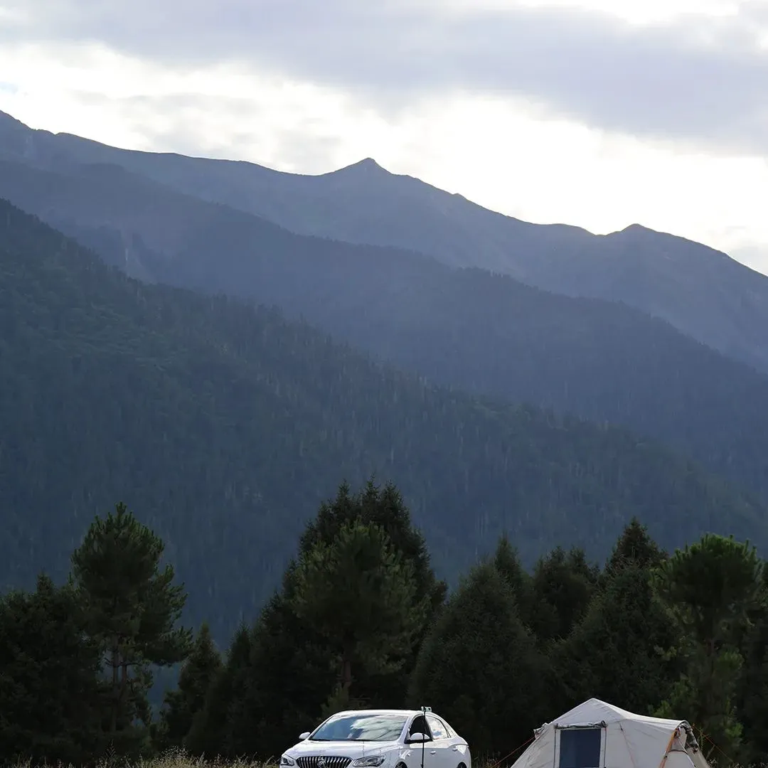 本周真题丨计算机丨东京大学情报工学系研究科-概率统计丨中文解读/考点/解题思路/答案/难易点评 第9张