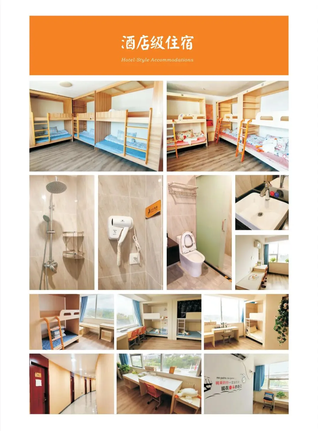 2026年3月武汉二调【历史】试卷及答案 第17张