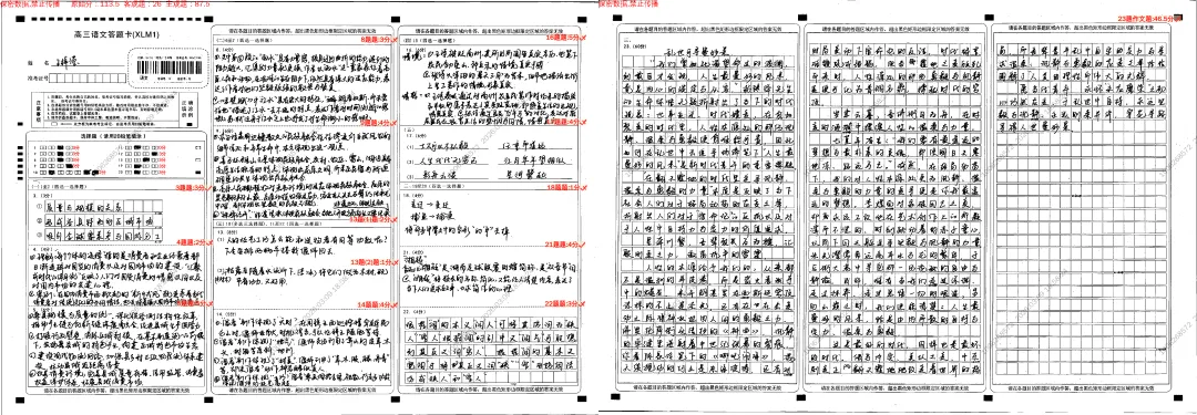 追光而行,自成星河|思沁高复月考优秀试卷精选 第8张