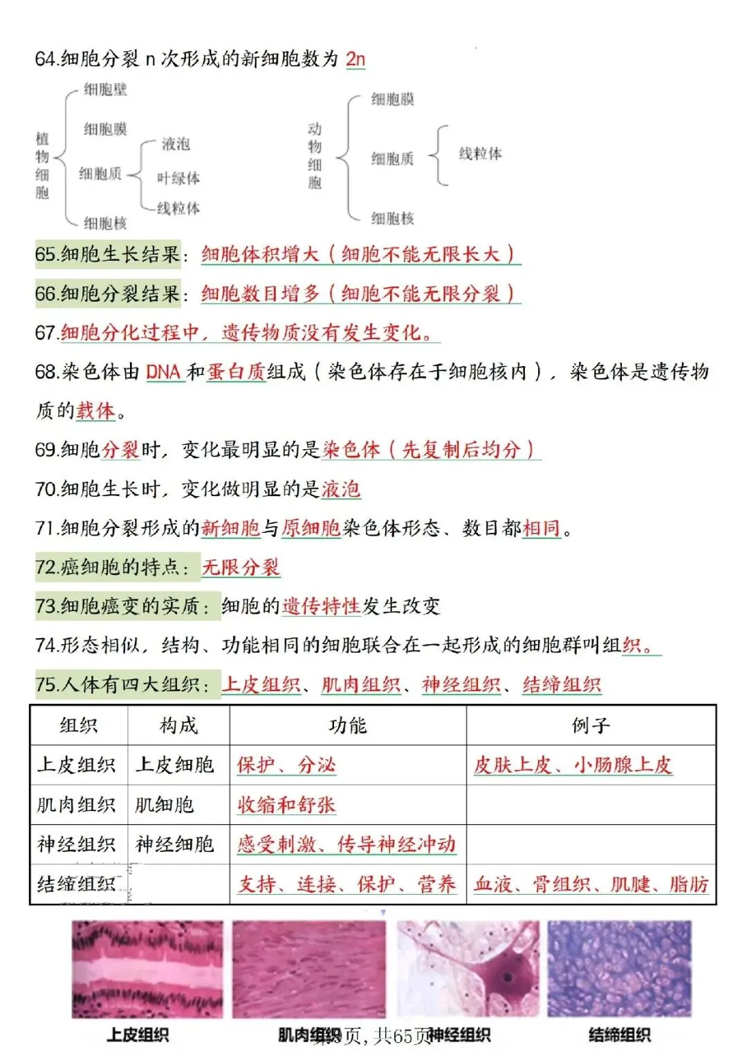 2026春中考复习7-8年级生物高频考点汇总,家长可提前打印完整版使用! 第11张