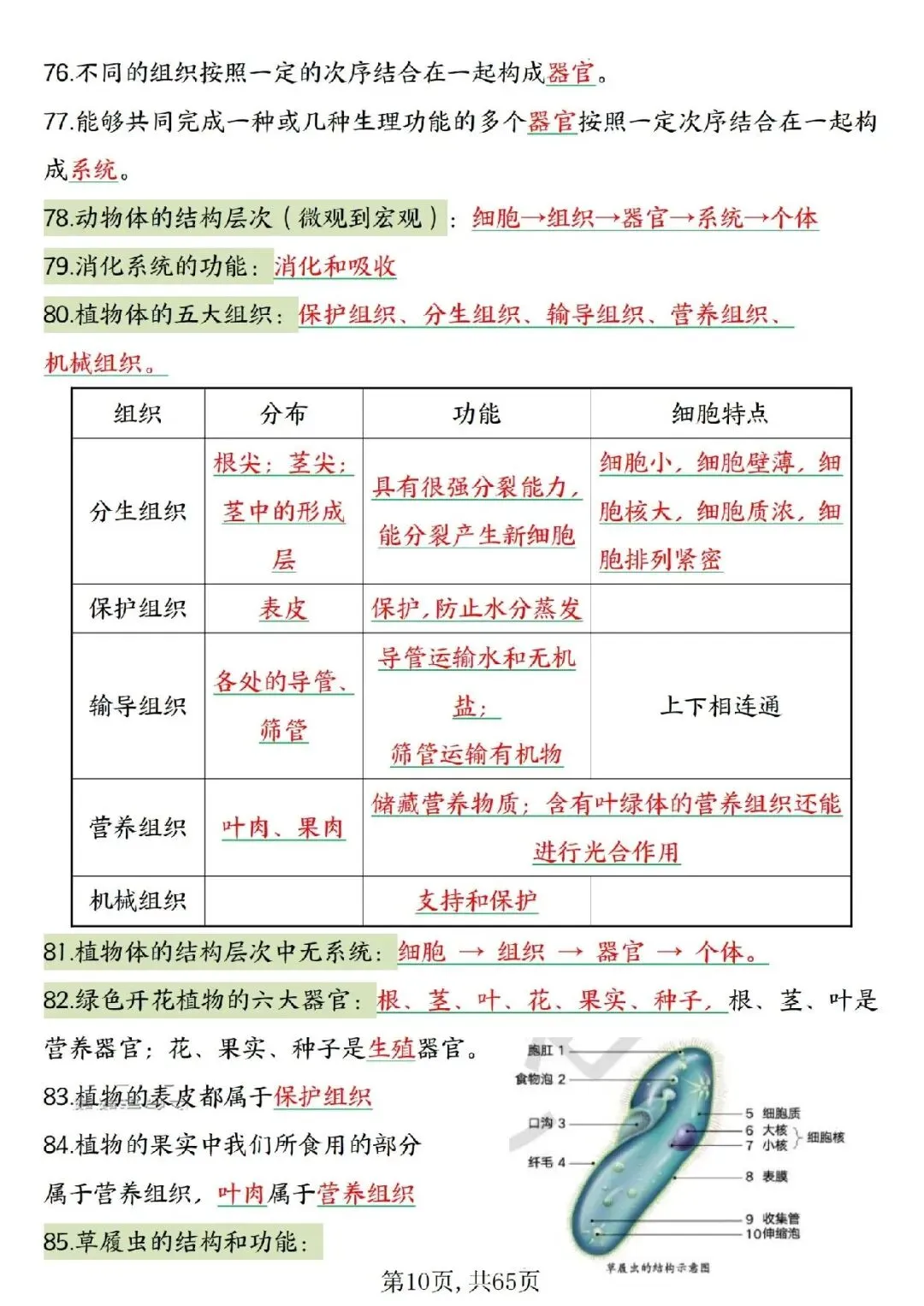 2026春中考复习7-8年级生物高频考点汇总,家长可提前打印完整版使用! 第12张