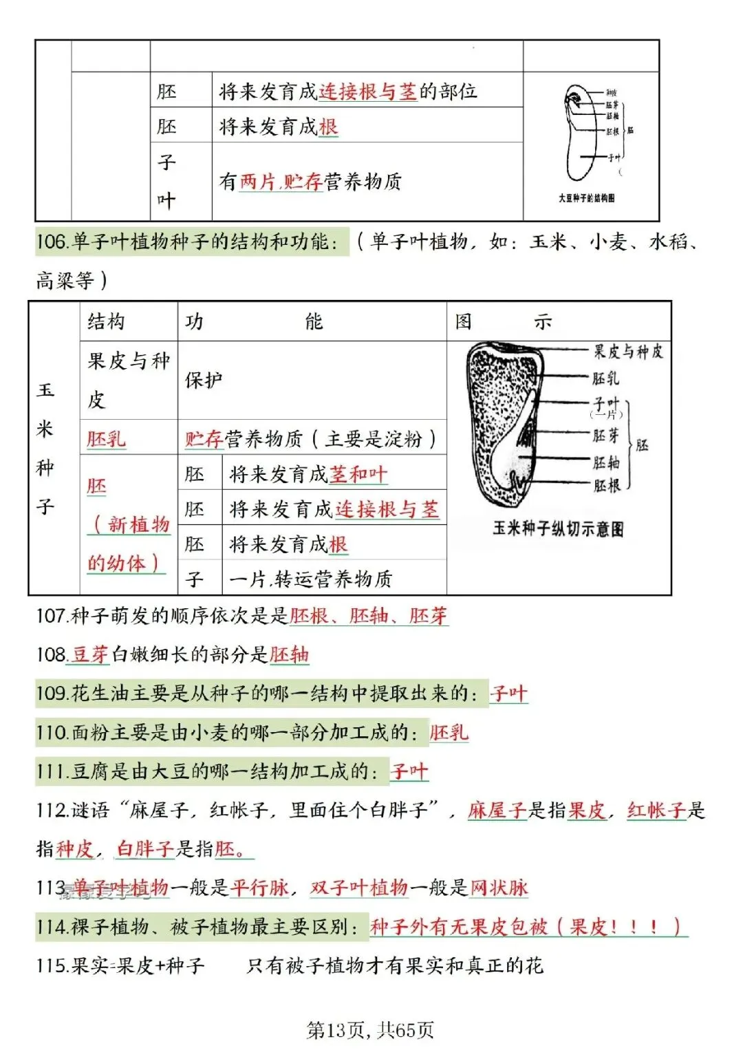 2026春中考复习7-8年级生物高频考点汇总,家长可提前打印完整版使用! 第15张
